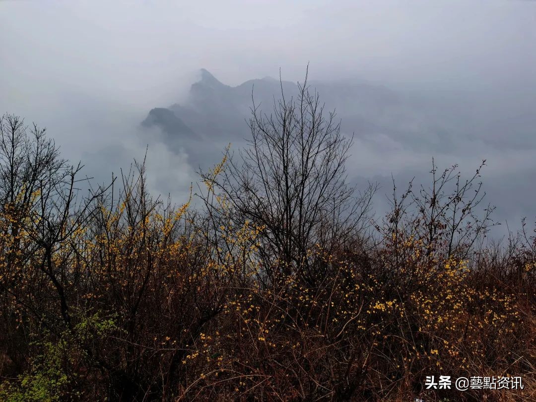 云、山、泉——申世辉教授的云水世界