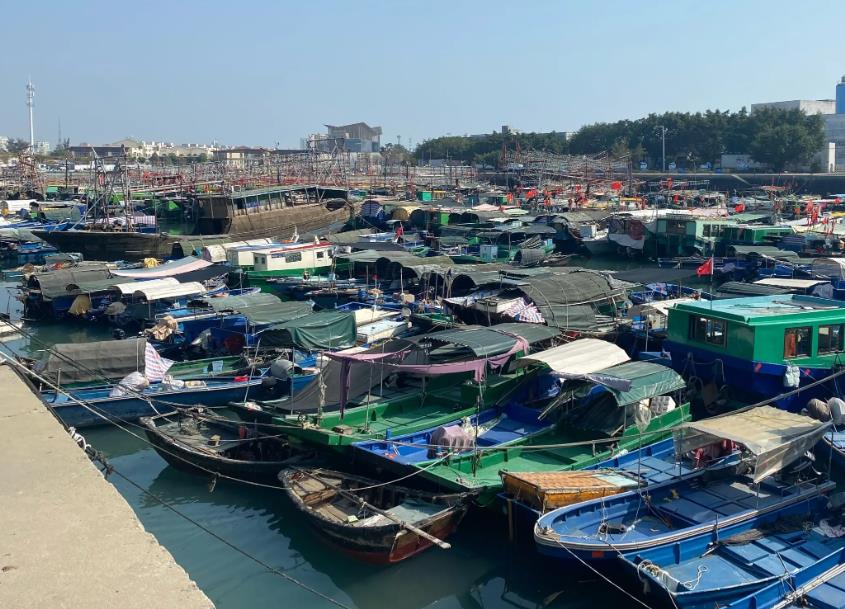 北海哪个码头的海鲜又多又便宜,来北海吃海鲜新鲜又便宜