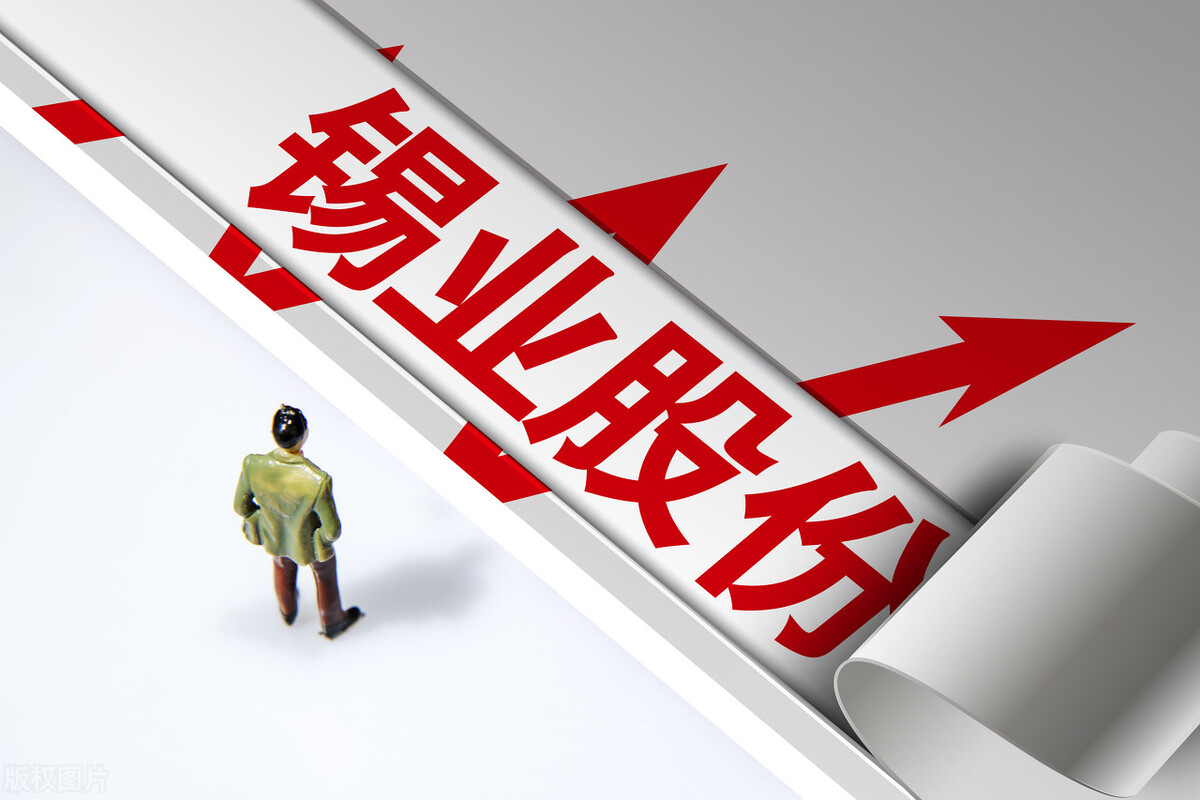 稀缺资源股龙头股一览,稀缺资源龙头企业