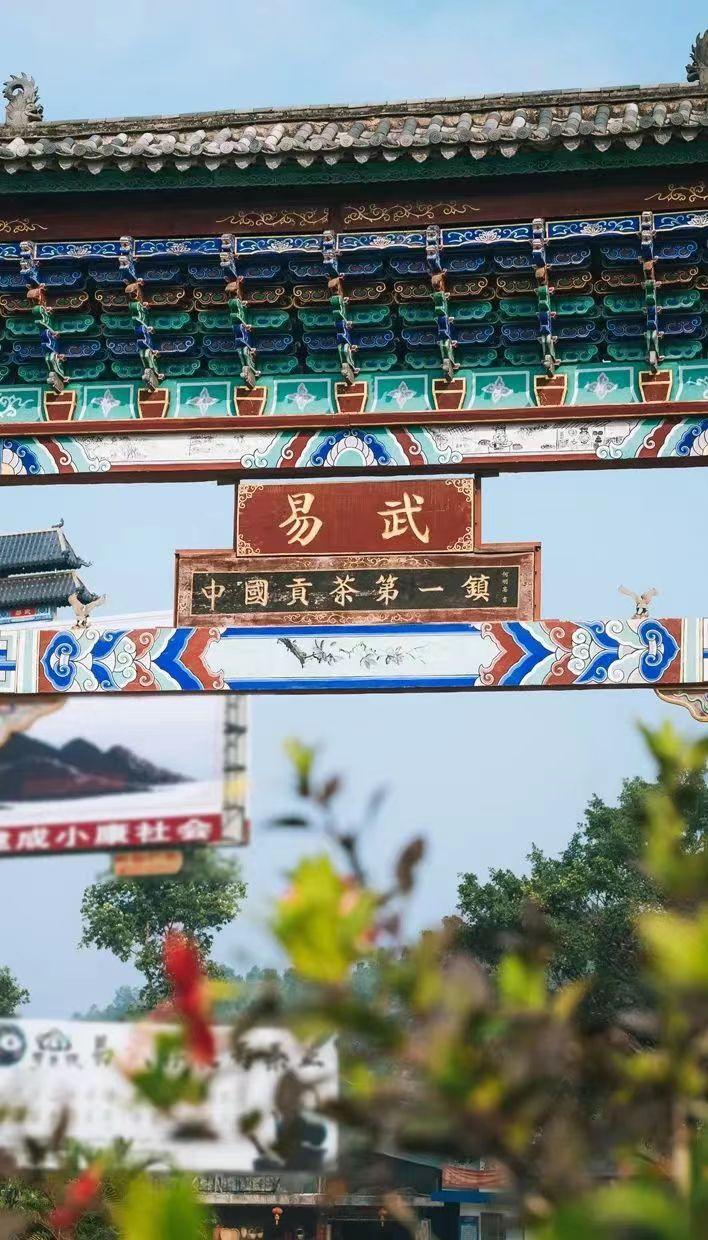 正宗的云南普洱茶是什么样的,真正的云南普洱茶是什么样