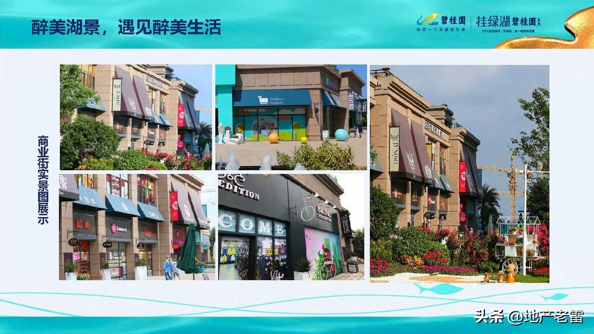 碧桂园精准发展方案,碧桂园的商品房改造方案