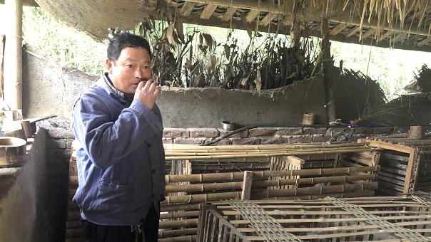 四川小伙在国外要饭完整视频,在巴西流浪的四川小伙