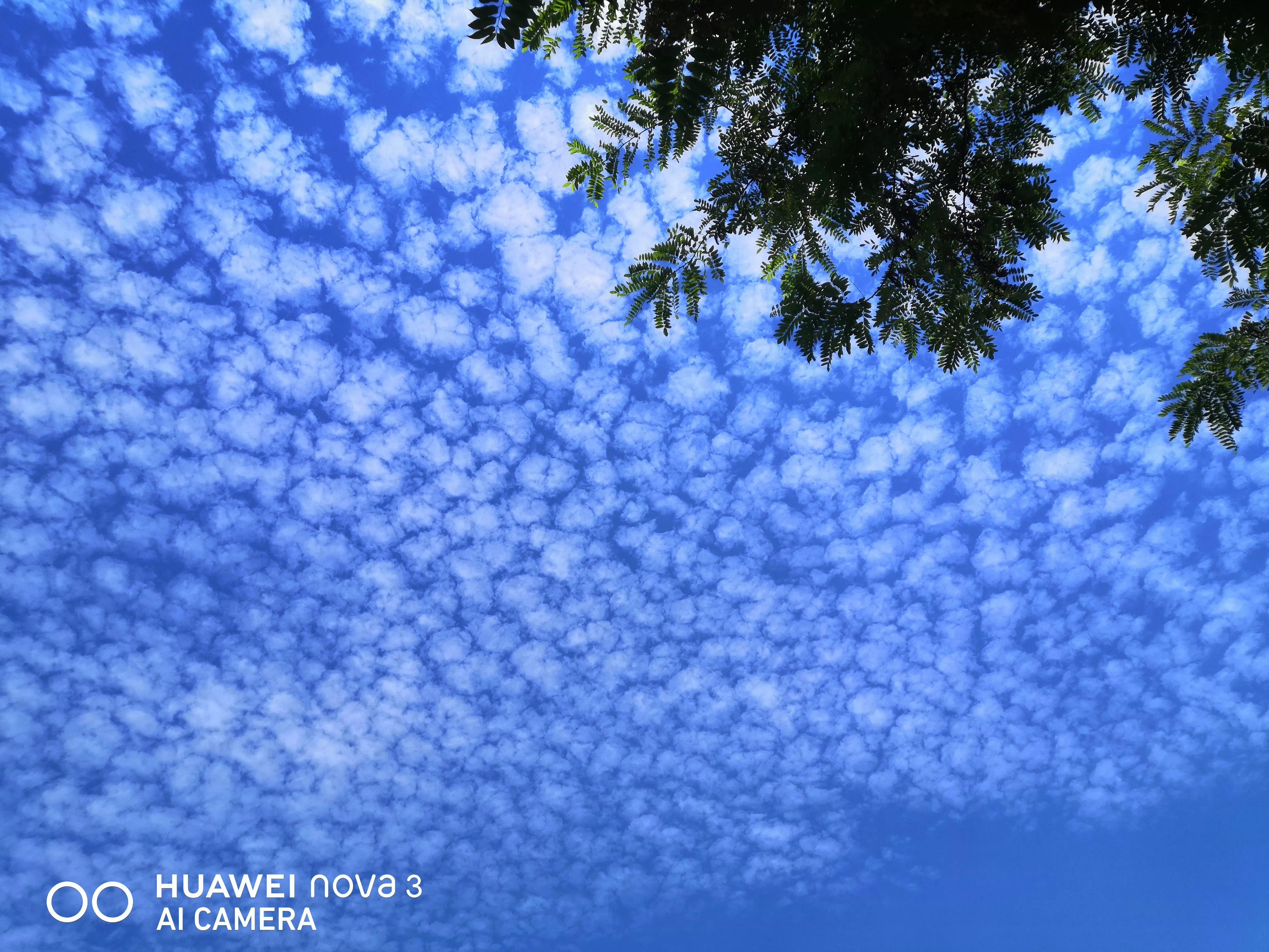 为何叫八大处,八大处从何而来