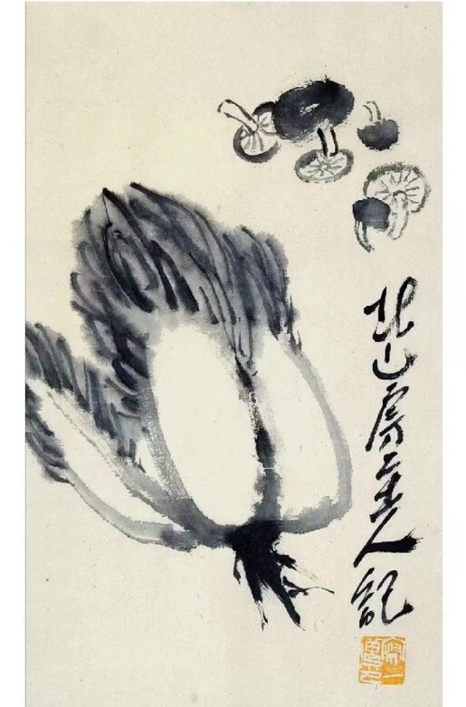 蘑菇到底是一种什么样的植物,蘑菇是黑色的还是毒的