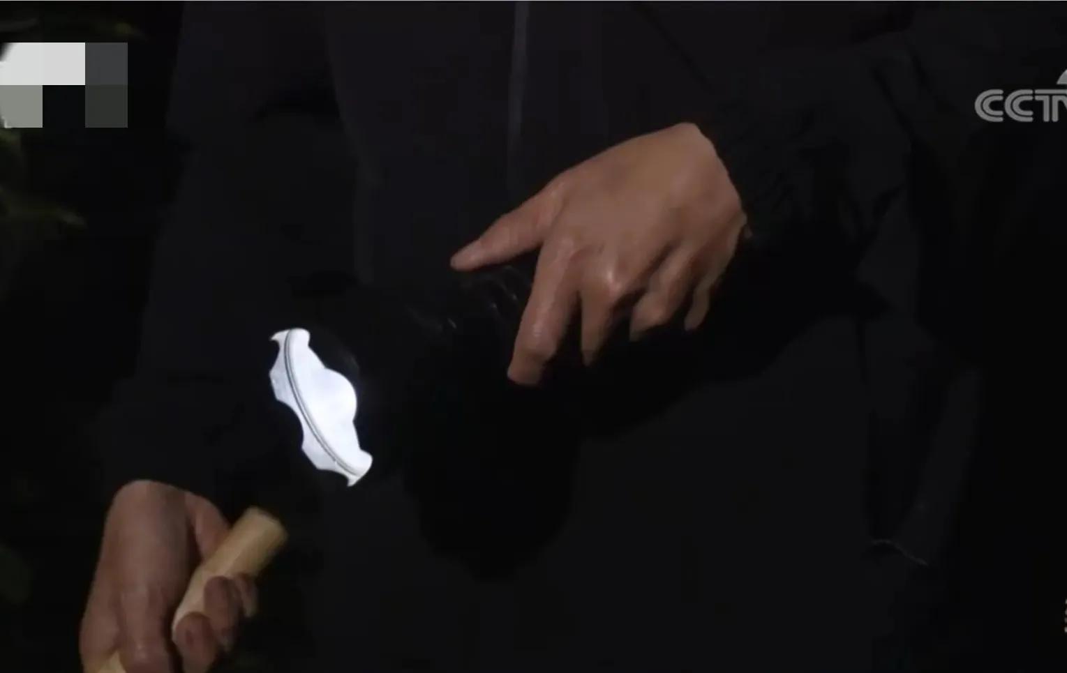 山地果园种林下参合法吗,山林地出租种林下参多少钱一亩