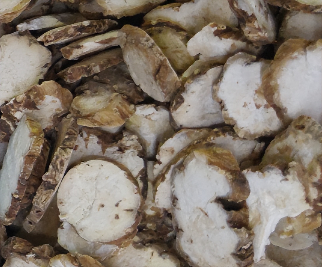 带你识别灵芝,重楼品种识别视频