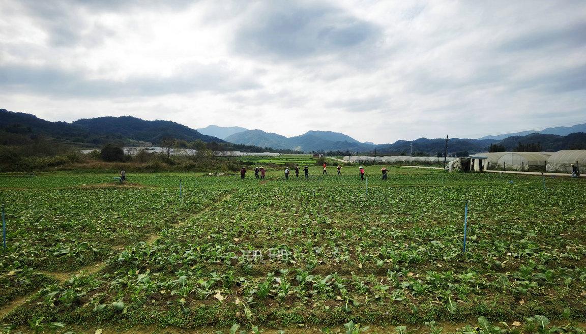 广东必去十大景点排名广州从化,从化什么地方山清水秀