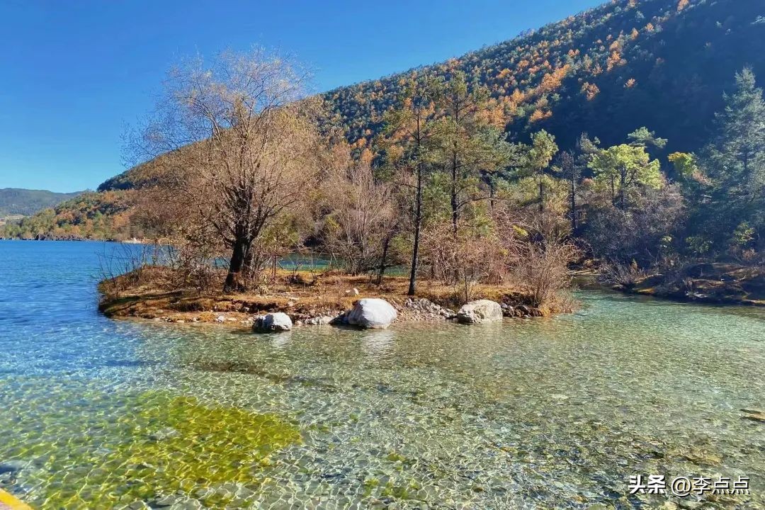 云南旅游疫情最新政策,云南旅游团疫情最新消息