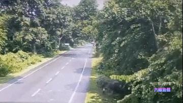 犀牛冲撞车事件,犀牛撞大货车