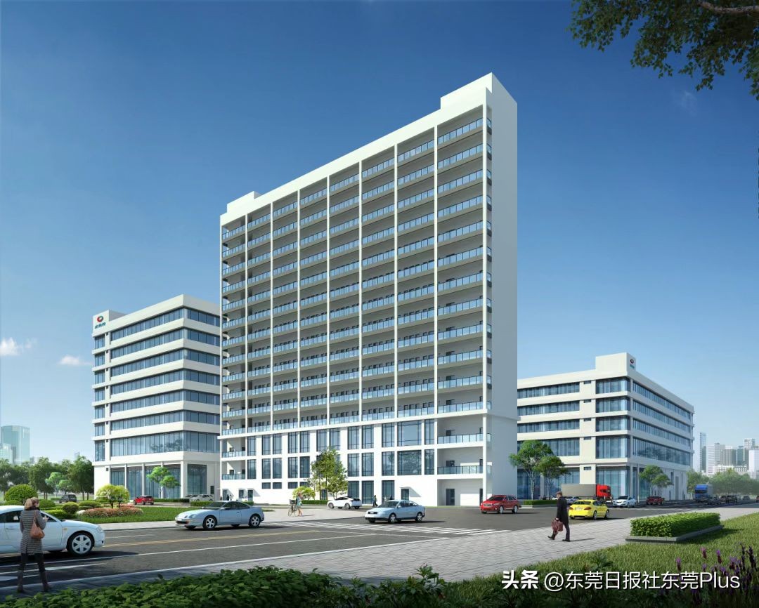 高质量发展看谢岗丨点燃经济“主引擎”高质量发展动力澎湃