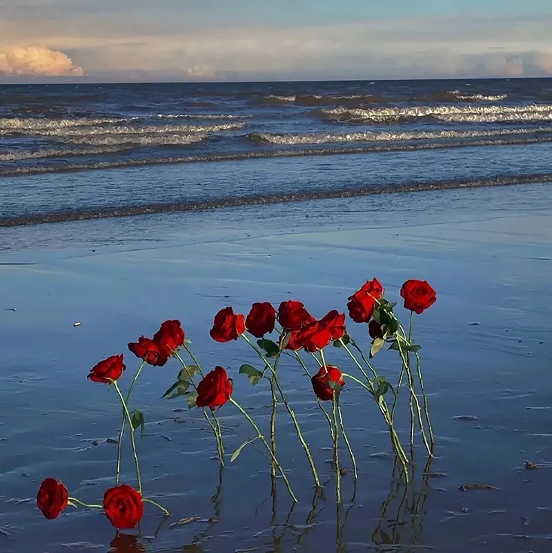 正清园,正清园小说平台靠谱吗