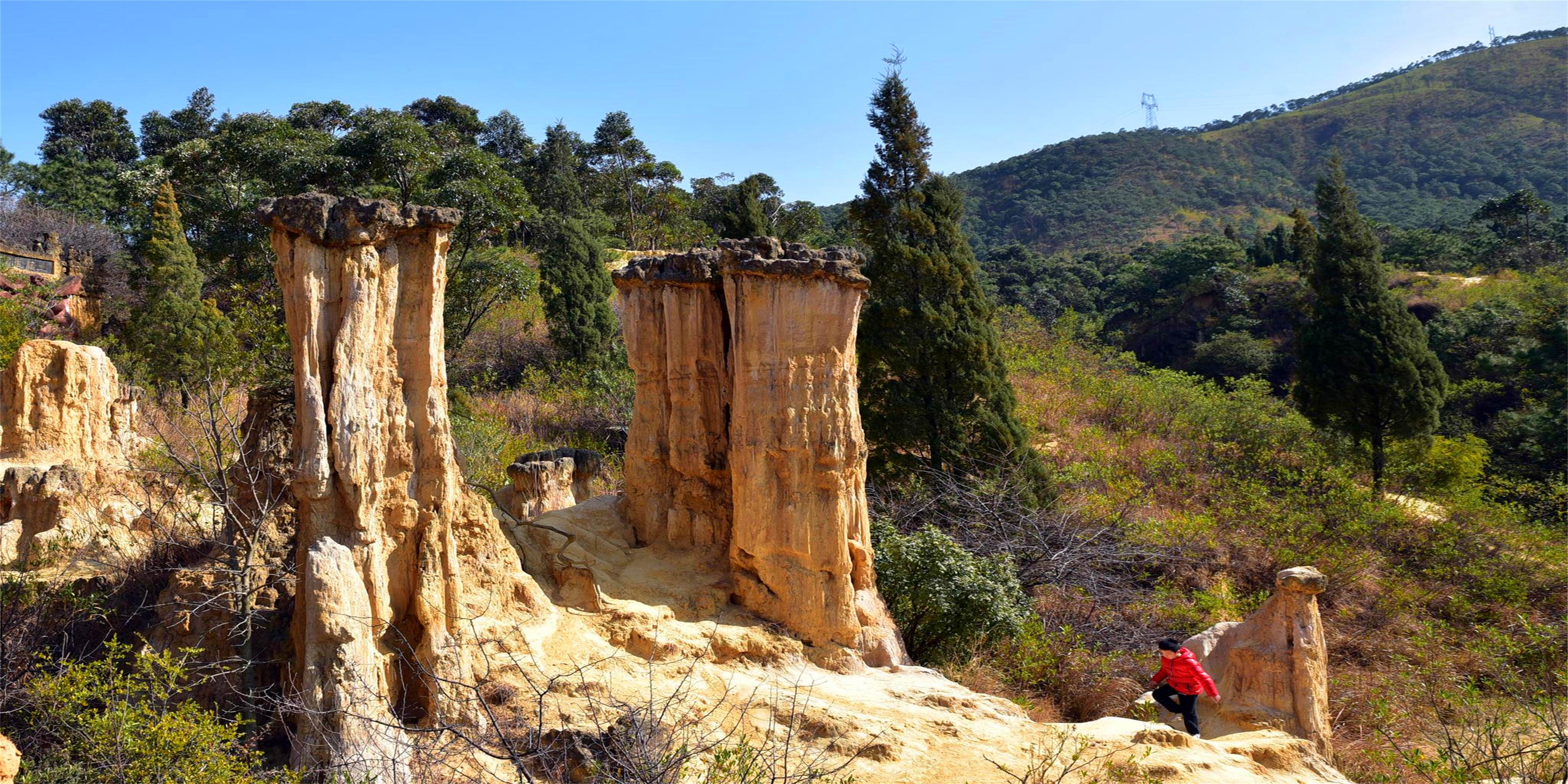 王仕彬,王仕彬百科