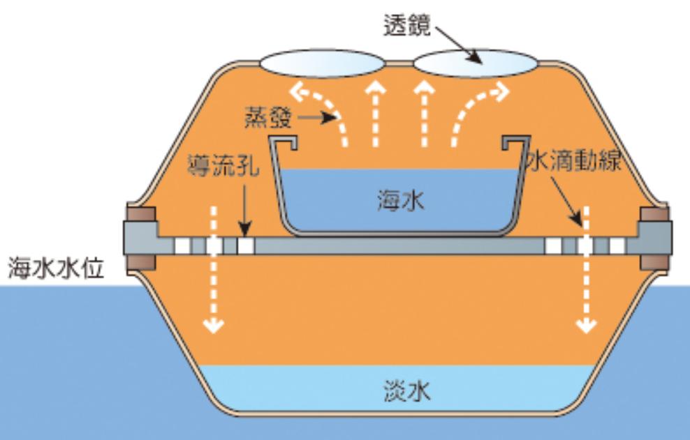 海洋动物如何适应海洋生活,海洋动物为什么能适应海水