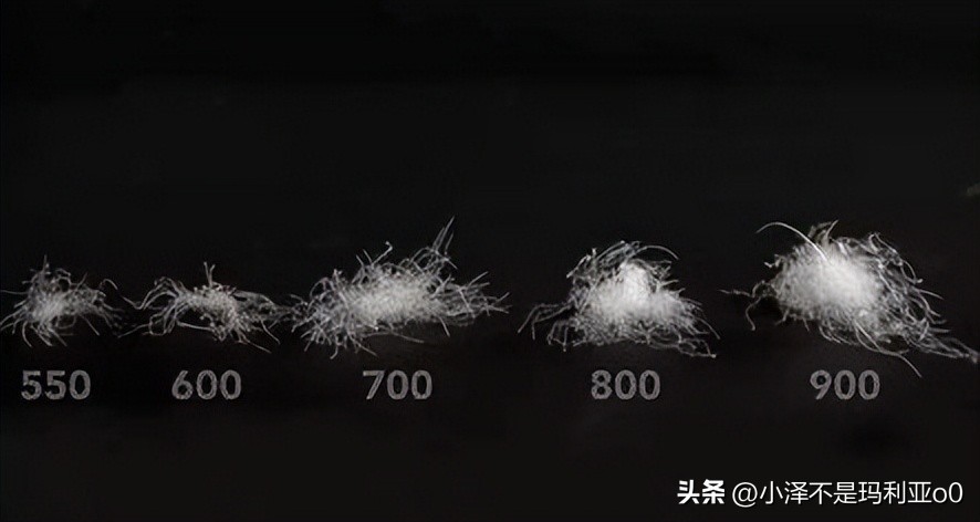 花1000多买被子,花1000买蚕丝被值不值