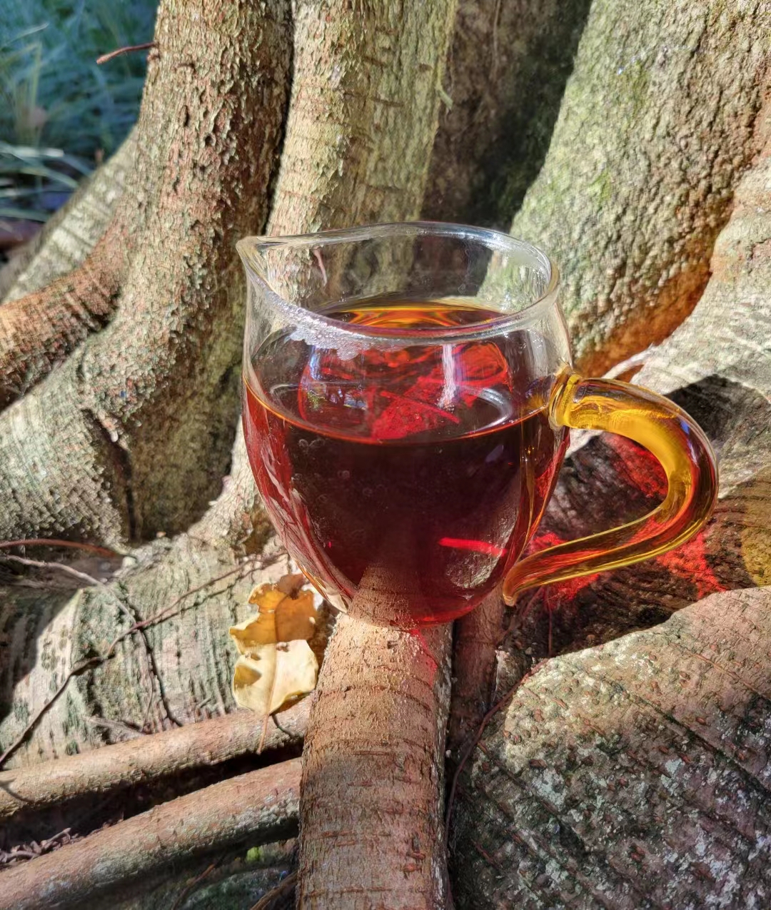 一盏茶里品百味人生,细细感受每一口茶汤的滋味