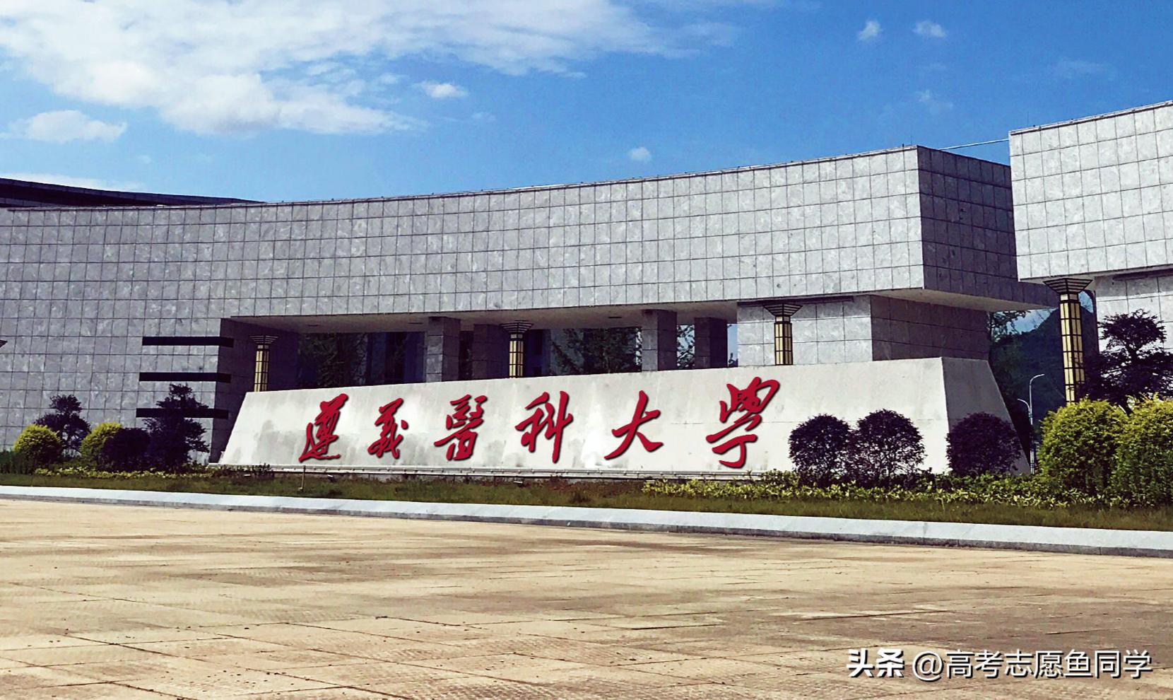 想学医中药的有什么大专院校,学临床医学哪些985大学可以推荐