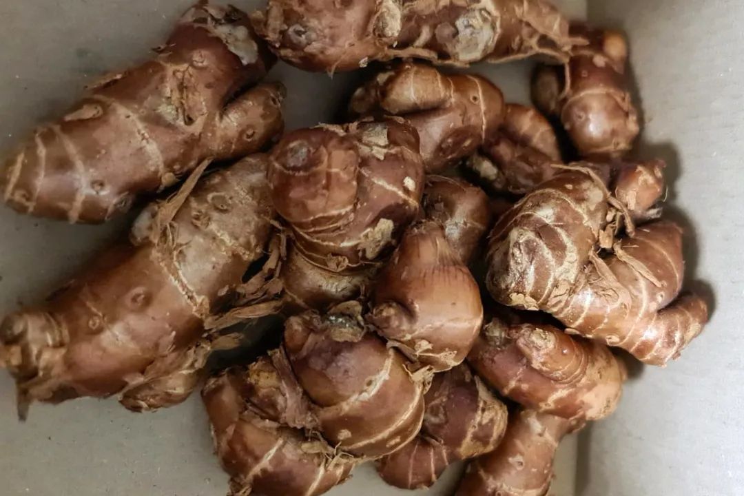 姜类香辛料都包含哪些种,12种必须了解的香料作用和用量