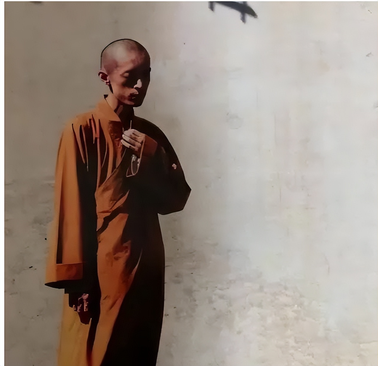 北大数学天才柳智宇出家学了什么,数学天才柳智宇出家经历