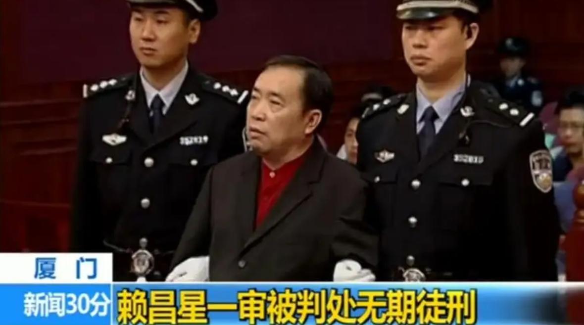 杨钰莹45岁不老照片,杨钰莹从1岁到50岁的容颜变化