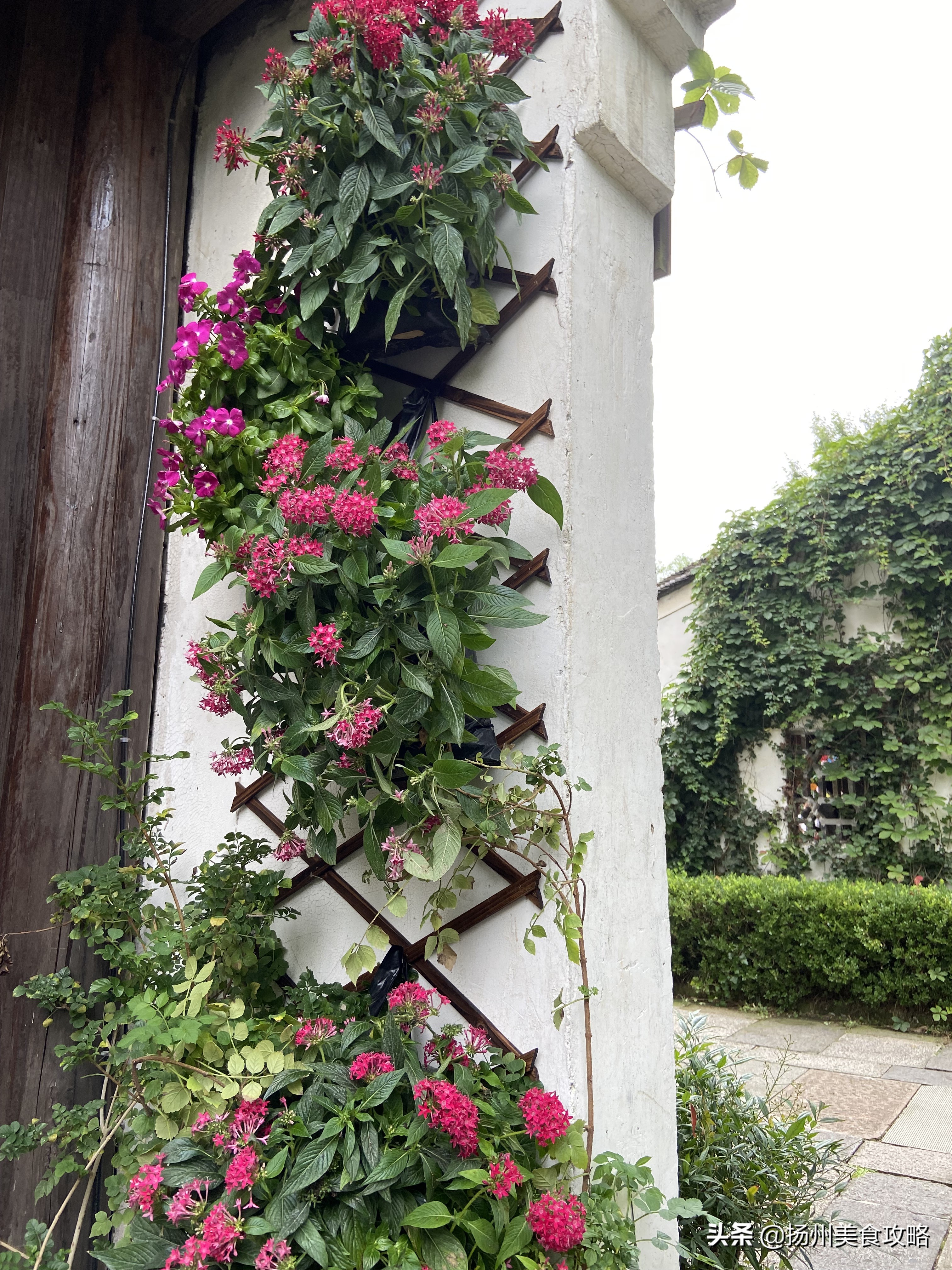 天目湖南山竹海附近游玩,常州天目湖南山竹海免费