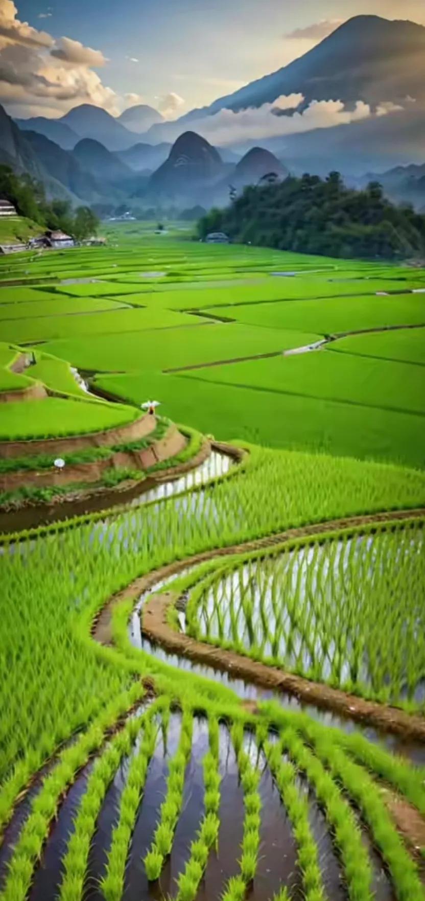 赏田园风光图片,美在深秋田园风光图片