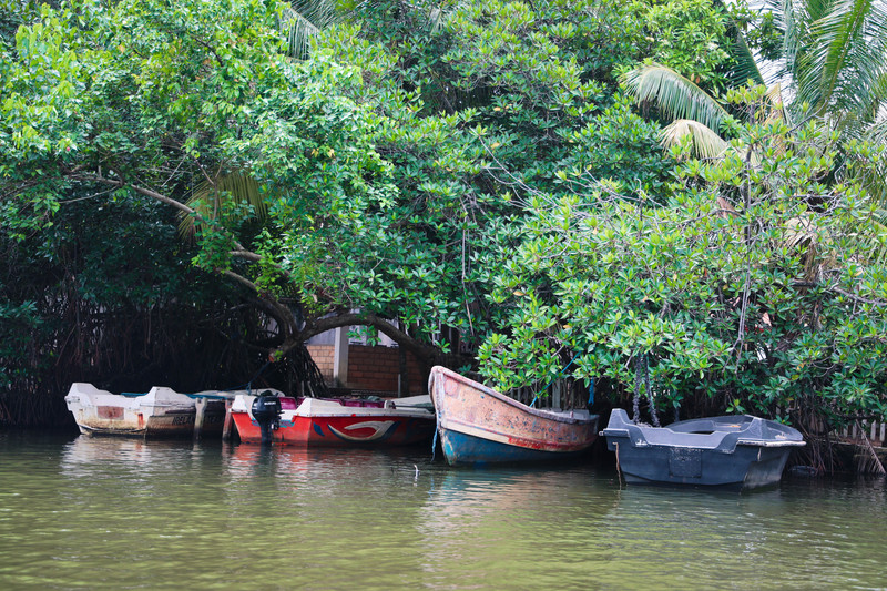斯里兰卡旅游攻略必去景点,斯里兰卡最佳旅游攻略