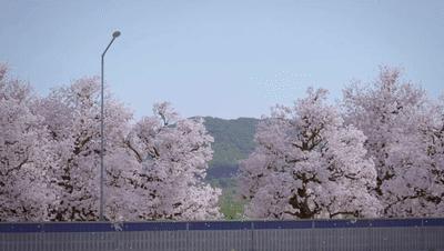 “躺平剧”虽迟但到，这俩人也太好嗑了