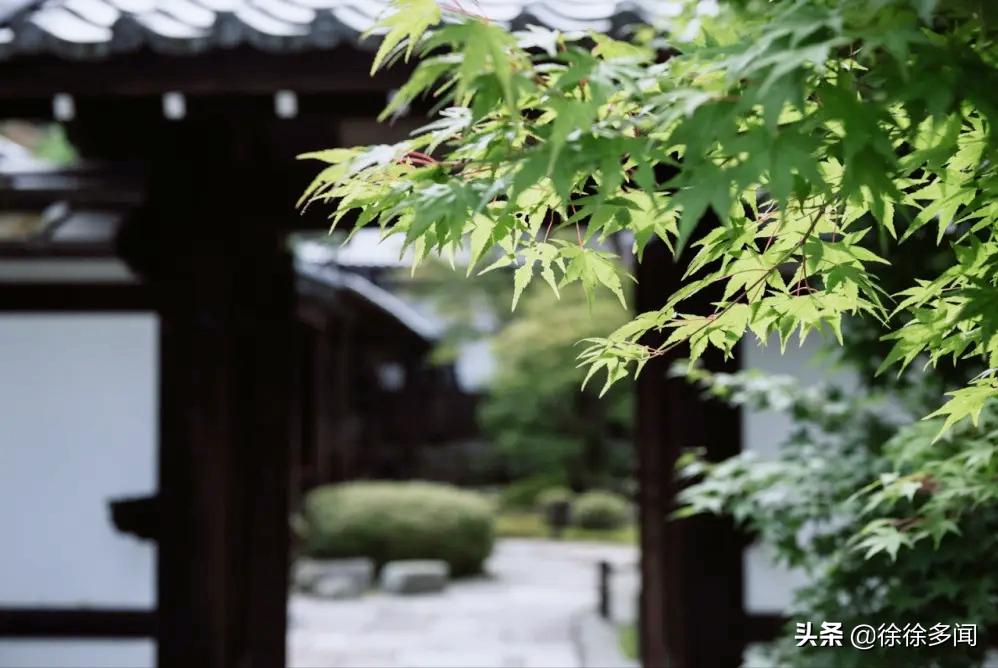 星云大师谈人生学,星云大师教人生存之道