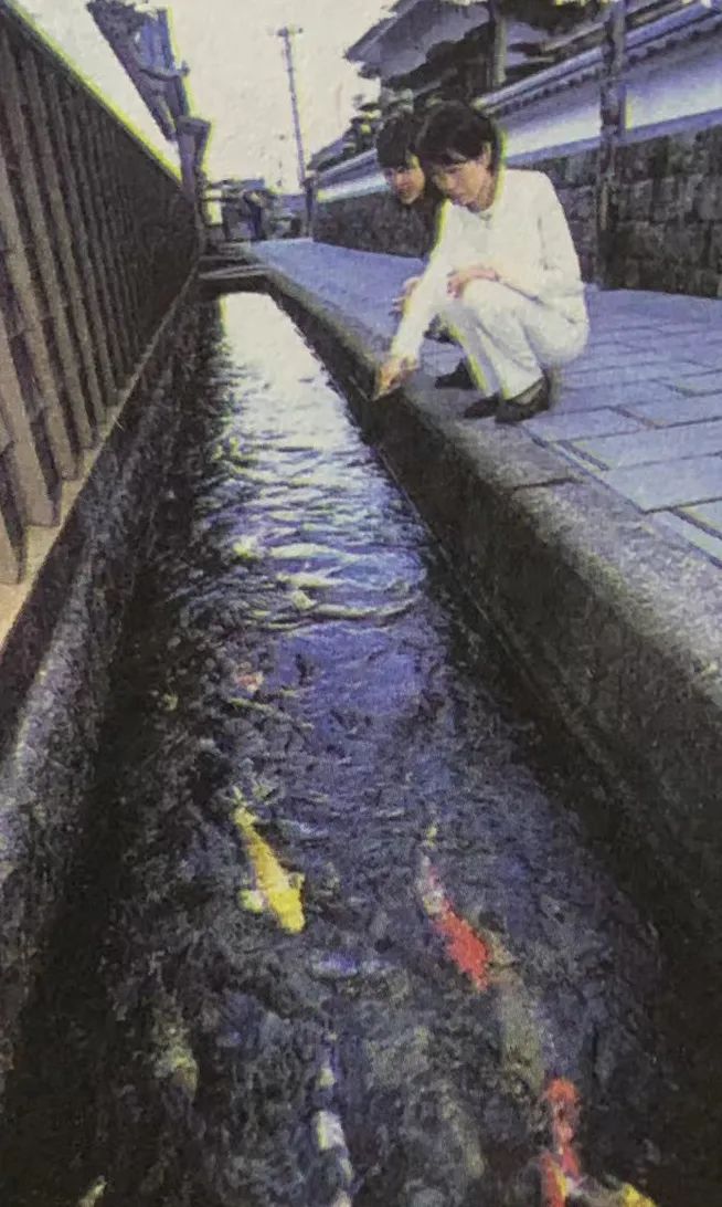 日本人喜欢女性特质的政治家