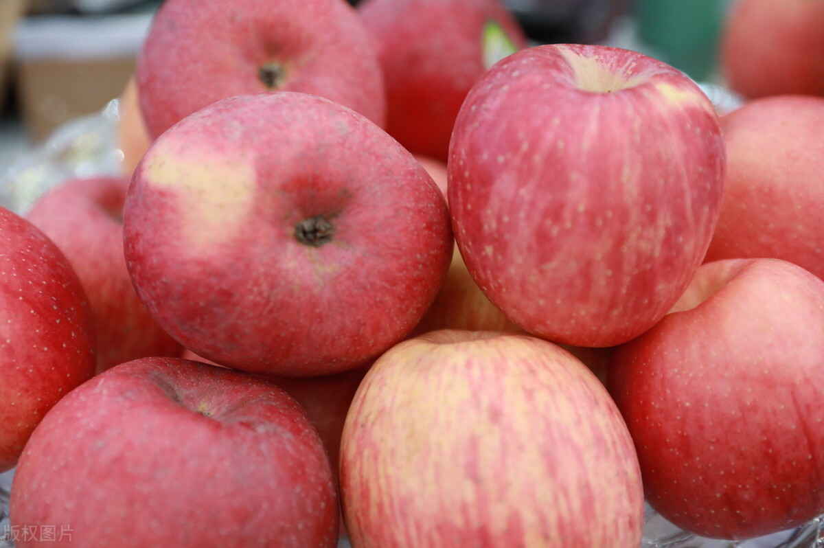 最好吃最实惠的苹果,全球十大最好吃苹果