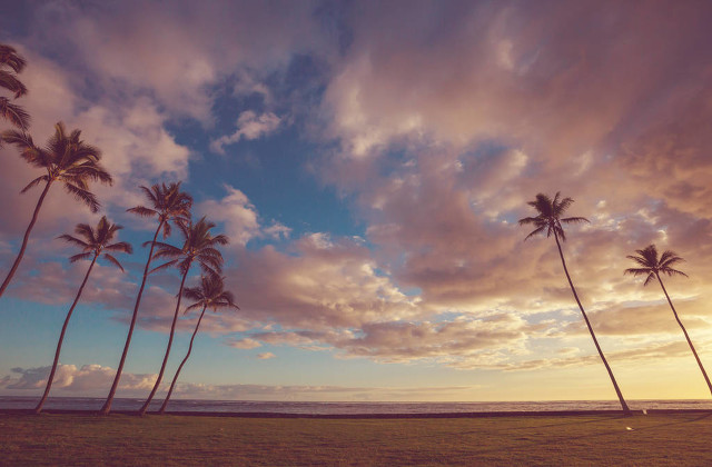 6月6日黄历宜忌查询,6月9日每日宜忌黄历