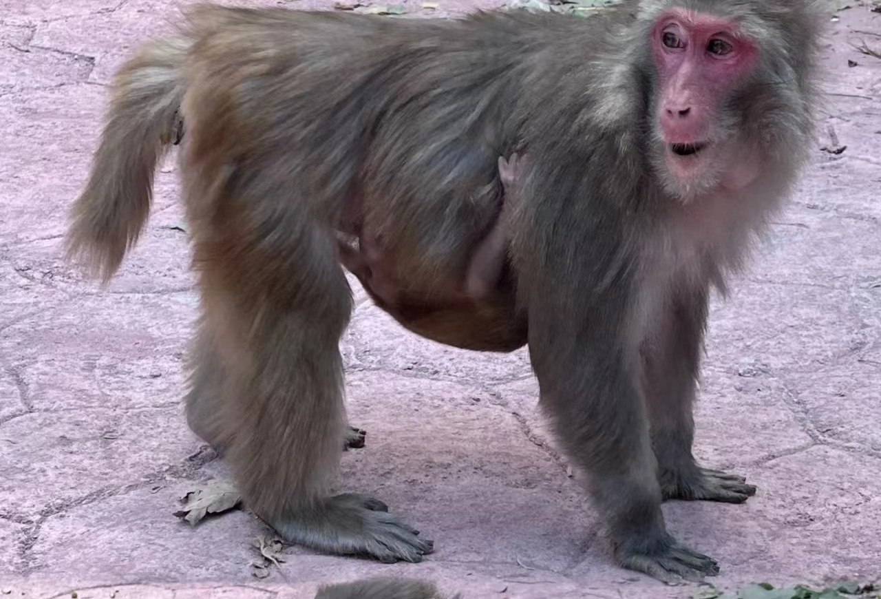 端午节郑州周边避暑游玩推荐景点,端午郑州附近游玩景点推荐一日游