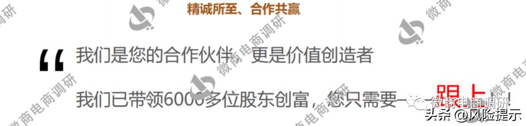 蜜蜂养殖有哪些利润,蜜蜂织道科技有限公司