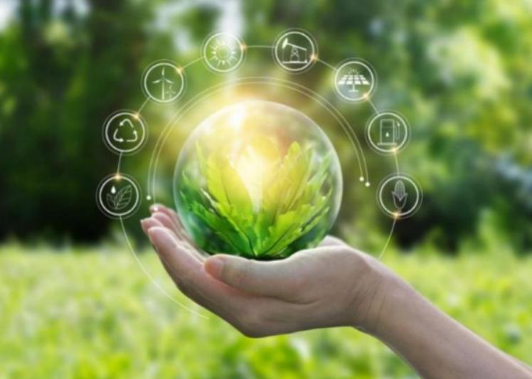 长沙岩石信息技术服务有限公司,岩石信息技术服务有限公司