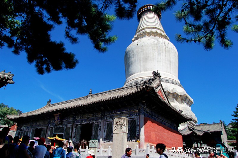 忻州一日游五台山雁门关忻州古城,五台山雁门关忻州古城三日游