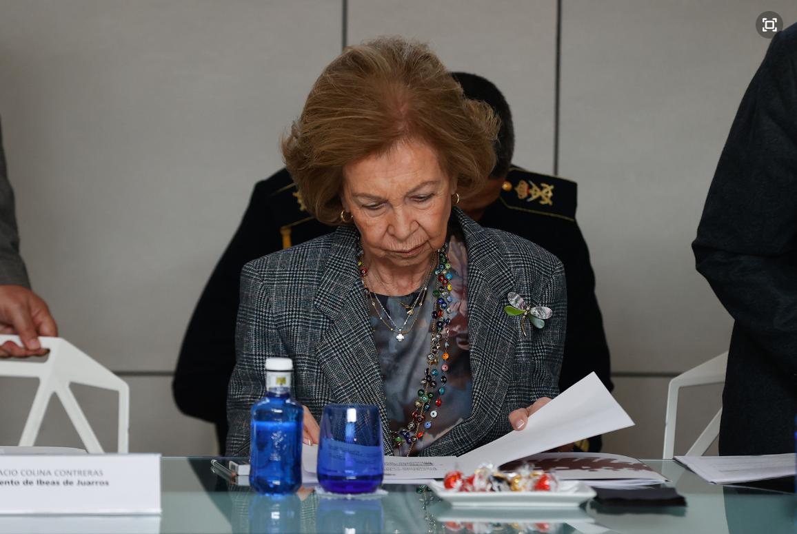 莱蒂齐亚穿长裙,莱蒂齐亚出席活动