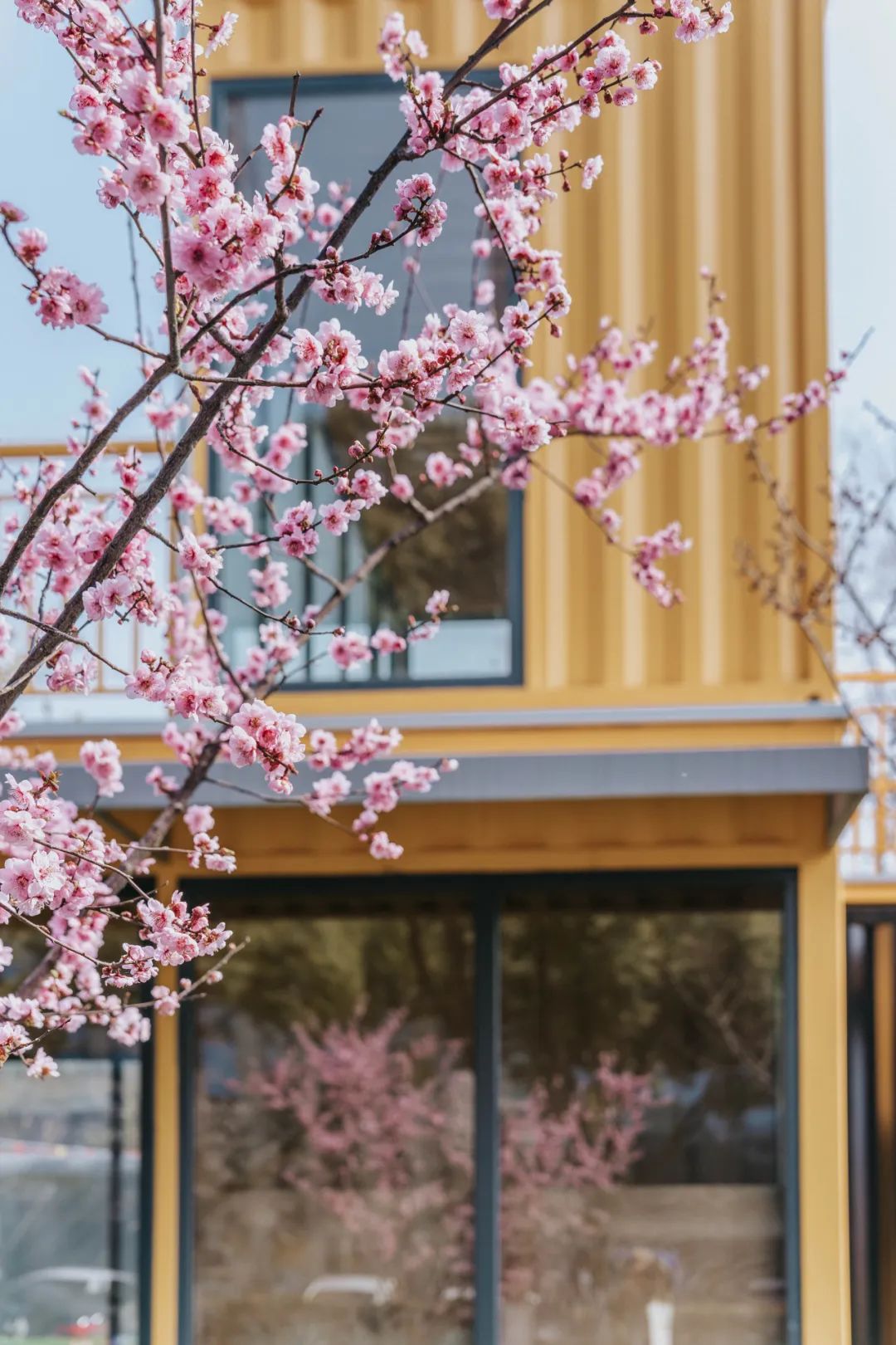 南京首个24小时体育街区，来了！