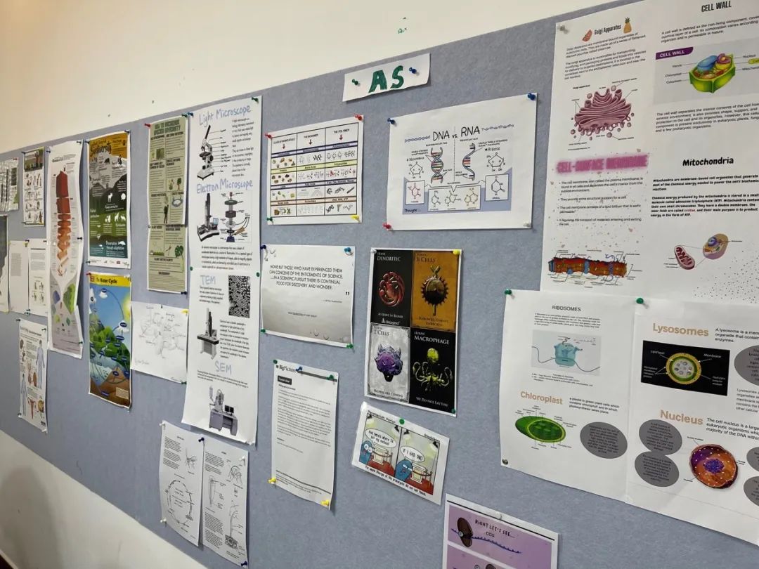 北京青苗学校怀柔校区开放日,北京青苗学校海淀校区