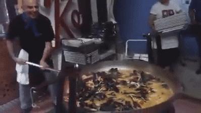 狗子看猫咪很轻松地就上去了，也学着来，结果把猫咪的窝给砸了