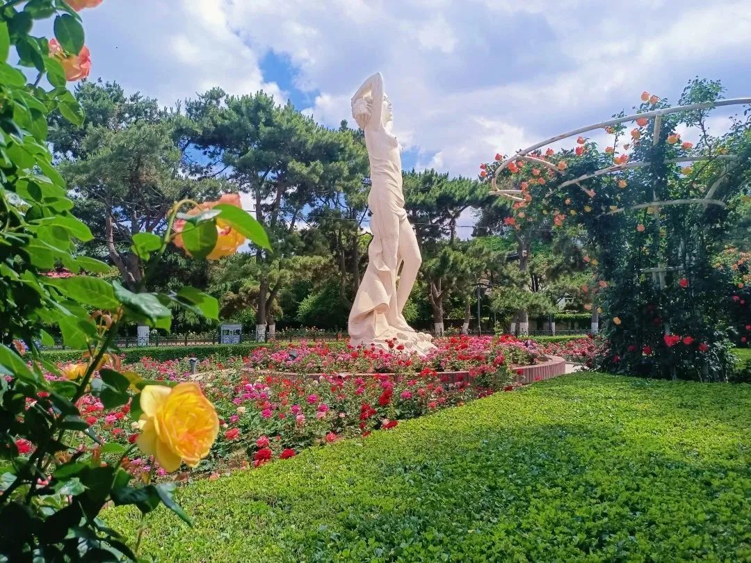 最美秦皇岛视频,用脚步丈量城市42.195公里