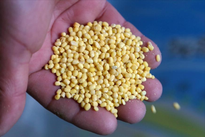 皮薄多层馅大的绿豆饼怎么做,自制软皮绿豆饼