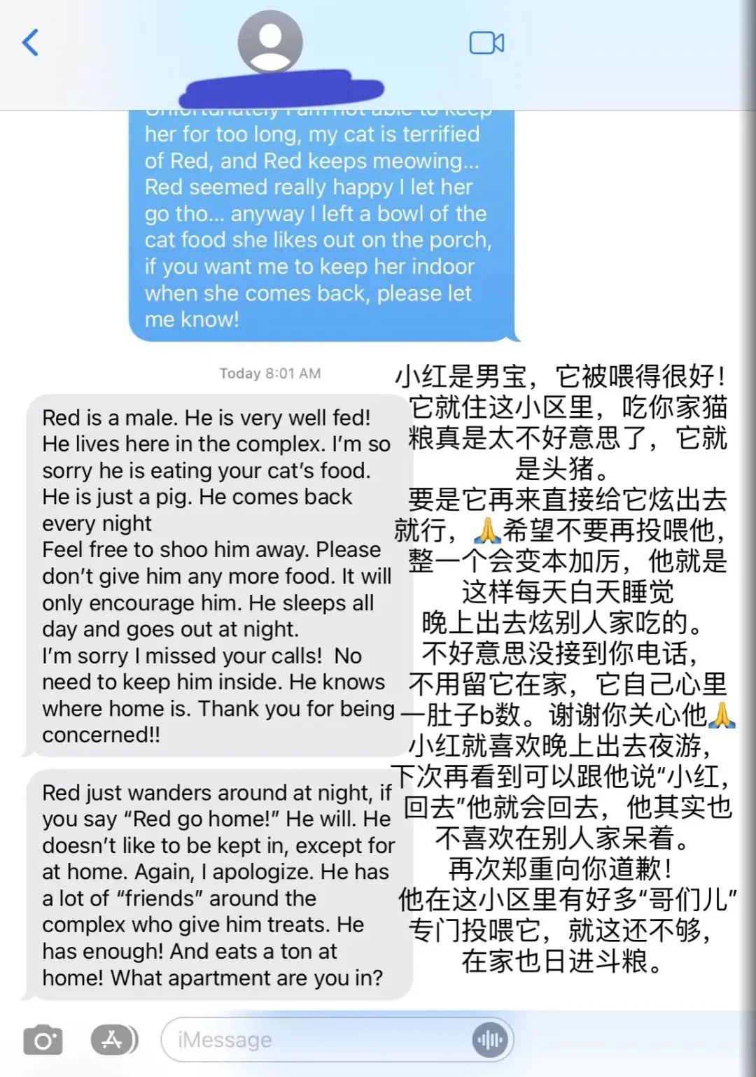 20多斤巨型橘猫,20斤的流浪橘猫