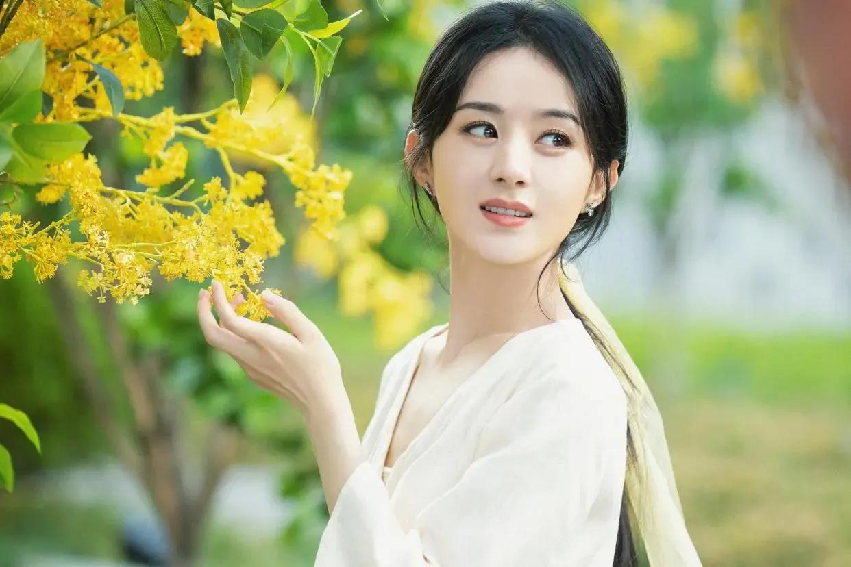 我和我的命朗读,我和我的命长篇完整版