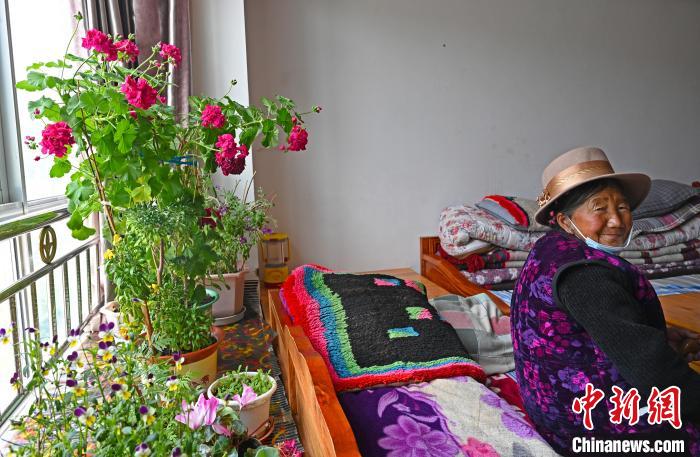 感受青藏高原的魅力,高原经济高质量发展学习心得体会