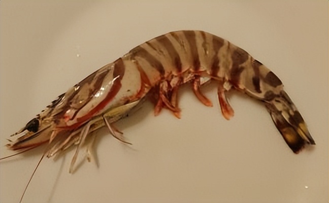 粤式腌大虾,广式豉油皇焗大虾