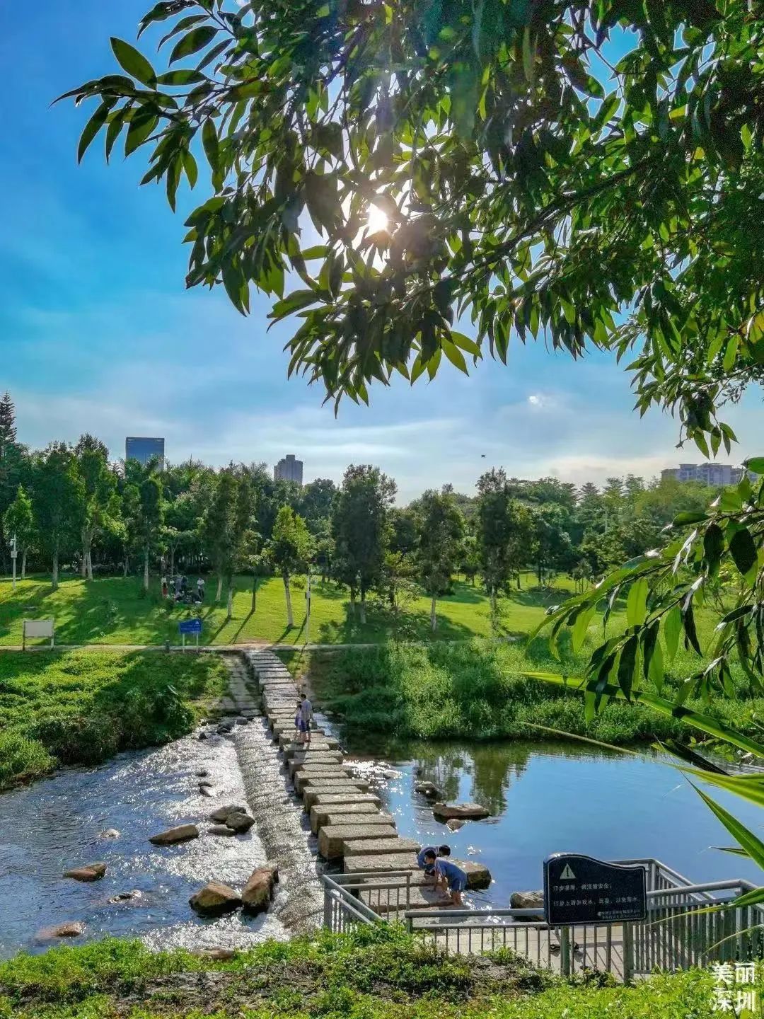 深圳福田免费公园排名前十名,福田中心公园游玩攻略