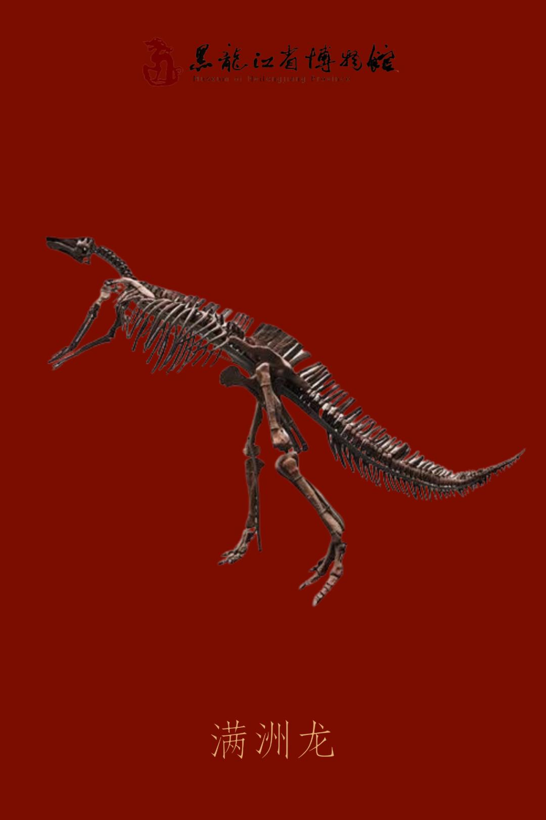 五一乌鲁木齐人能出去嘛 (五一过了是不是就成淡季了)