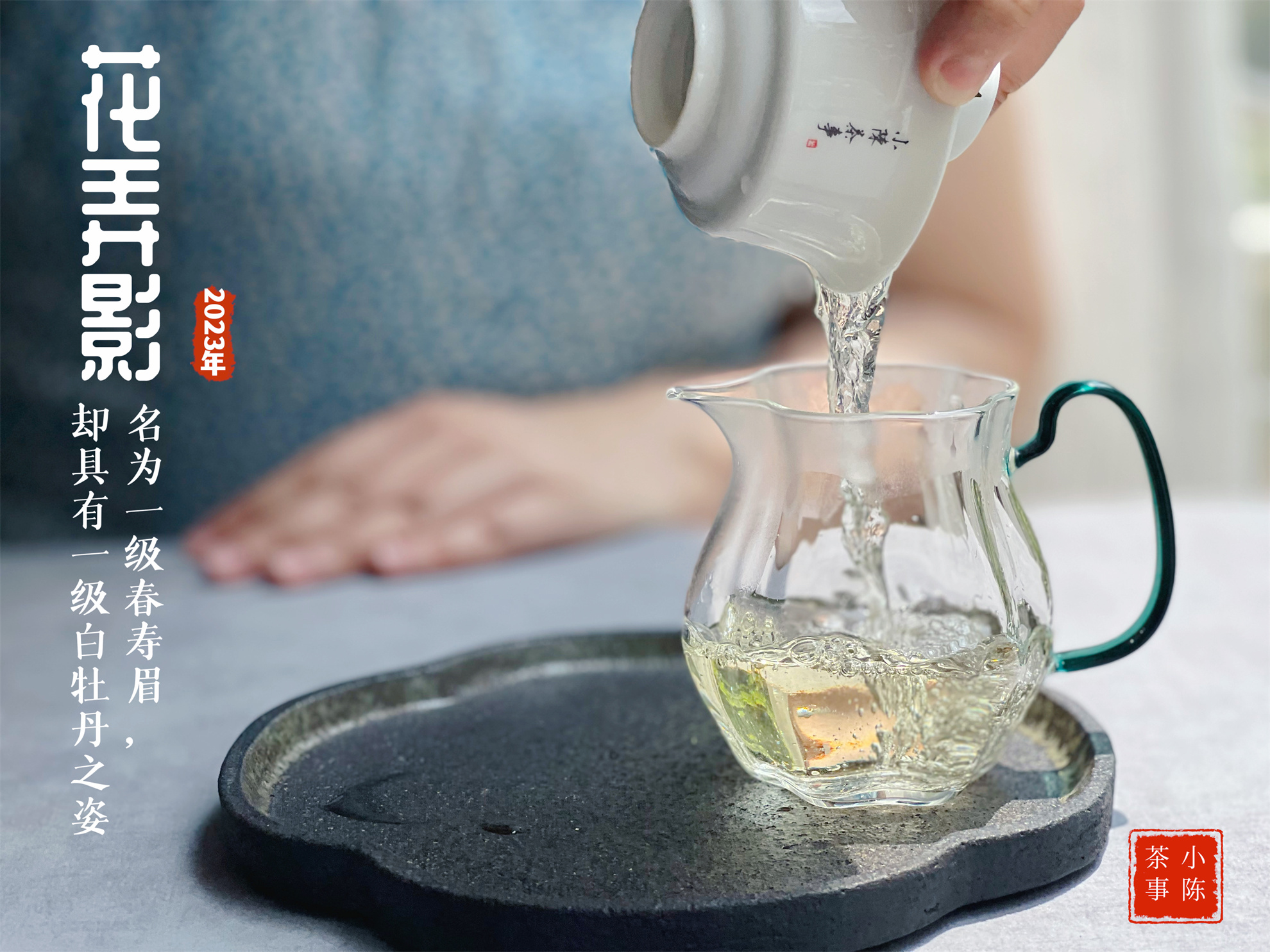 新手如何选新白茶,只需4步教你分辨白茶好坏