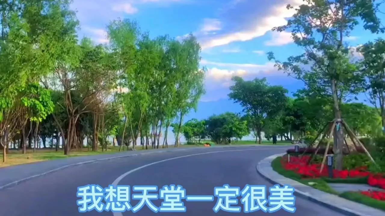 爱人去世无法释怀,老公去世了心里难受走不出来