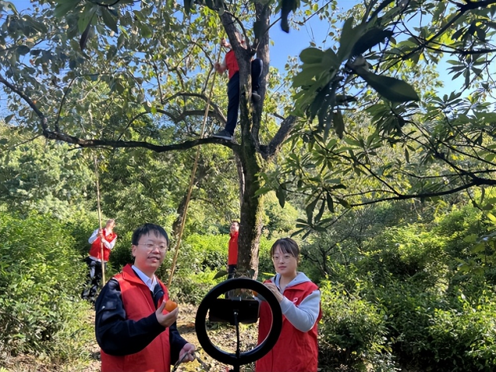 积极承担社会责任的辛有志，“香溢”助农解难题志愿筑起共富路